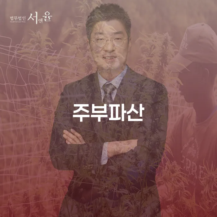 성공사례 개인회생 문제해결방법 잘 하는 법률사무소