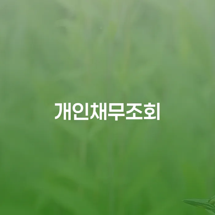 개인회생파산 빚 합법적인 빠른방법 진행방안