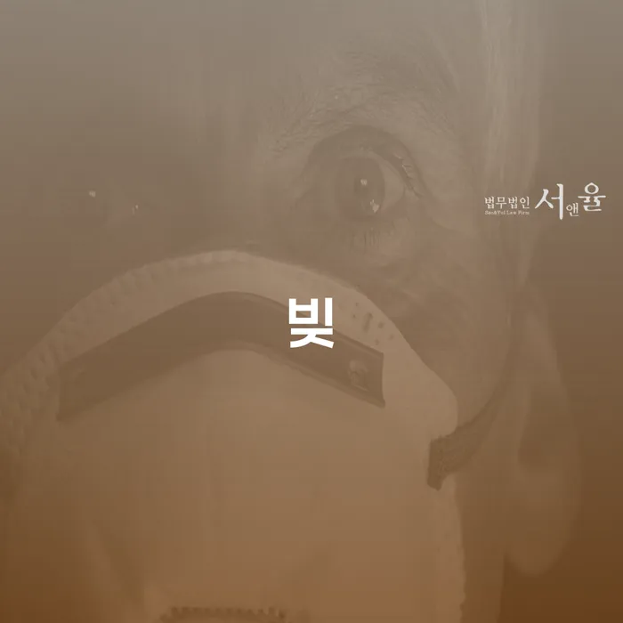 울산광역시 채무불이행자 개인회생으로 해결 믿고 진행 할 수 있는