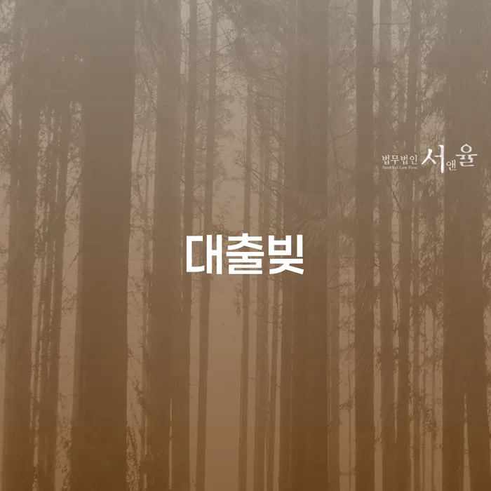 홍성군 개인회생후기 개인회생으로 해결 관련정보
