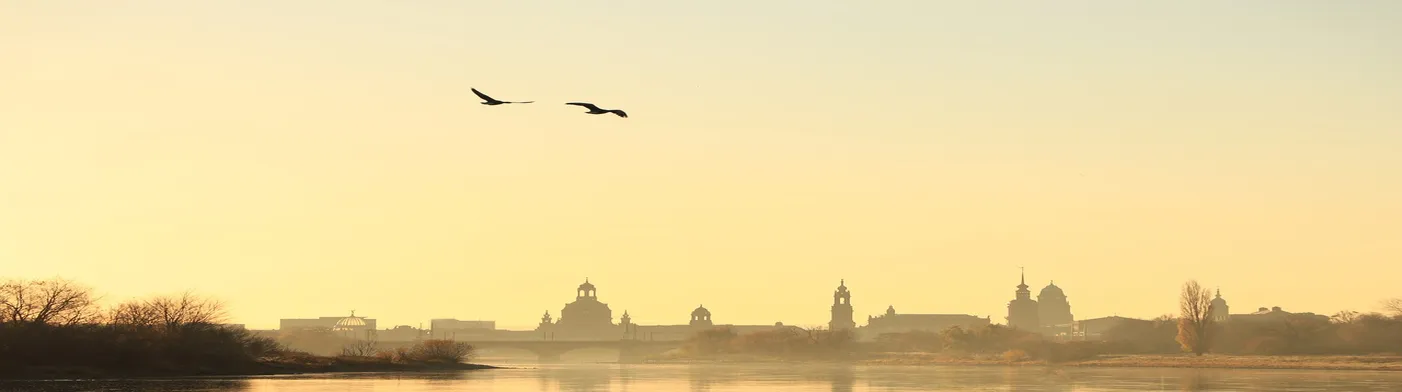 법무법인 서앤율