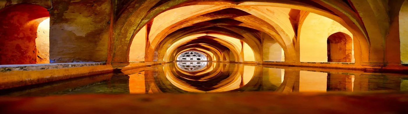 법무법인 서앤율