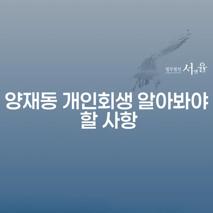양재동 개인회생 알아봐야 할 사항