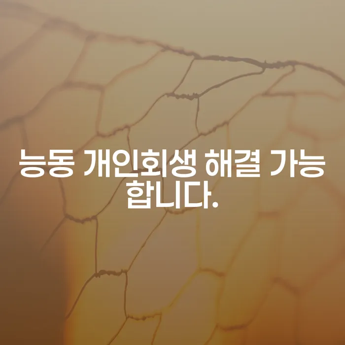 능동 개인회생 해결 가능합니다.