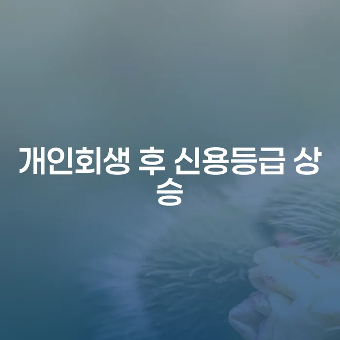 개인회생 후 신용등급 상승이 가능할까요?