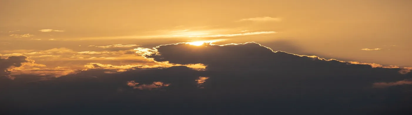 법무법인 서앤율