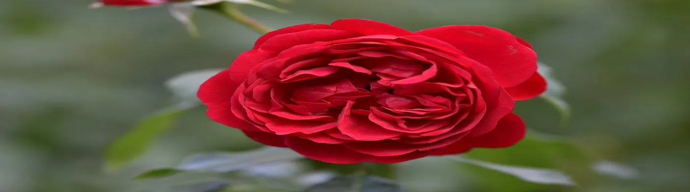 법무법인 서앤율