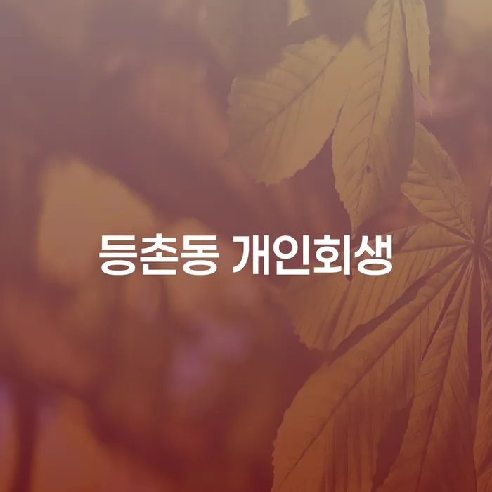 등촌동 개인회생, 어떻게 신청할 수 있을까요?
