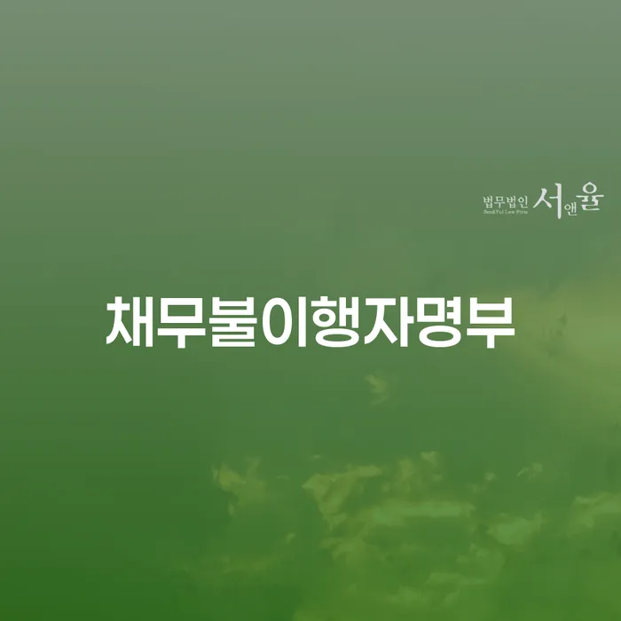 채무불이행자명부에 올라가면 개인회생과 해외여행은 어떻게 하면 좋을까요?