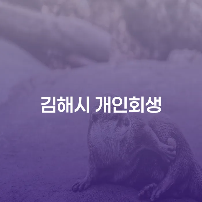 김해시에서 개인회생을 고려하고 계신가요? 속초시 개인회생과의 차이점은 무엇일까요?
